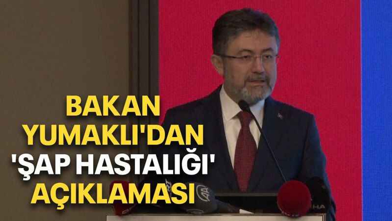 Bakan Yumaklı'dan 'şap hastalığı' açıklaması